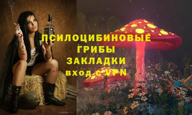 Галлюциногенные грибы Magic Shrooms  Глазов 